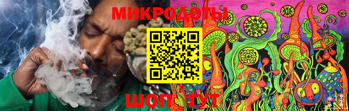 Псилоцибиновые грибы мицелий Дубна